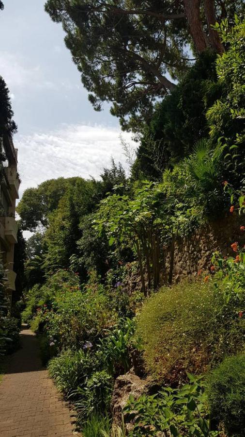 Perle Turquoise Daire Antibes Dış mekan fotoğraf